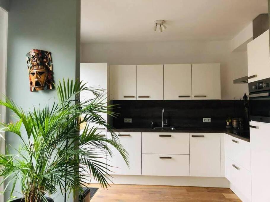 Compleet Huis In Nijmegen Apartment Ngoại thất bức ảnh